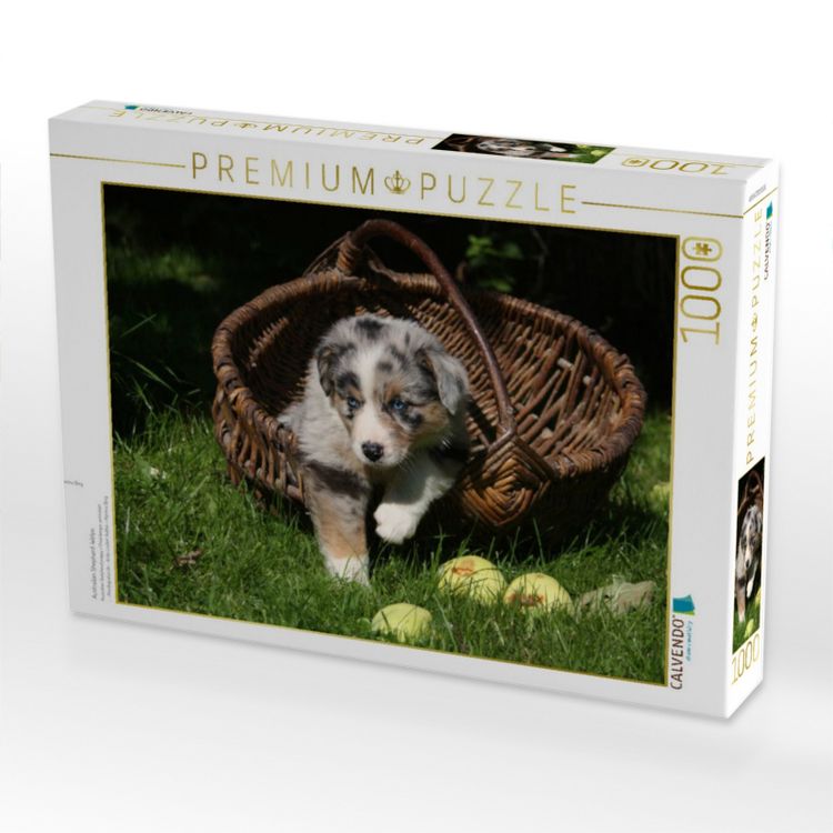 Produktbild: CALVENDO Puzzle Australian Shepherd-Welpe | 1000 Teile Lege-Gr&ouml;&szlig;e 64x48cm Foto-Puzzle f&uuml;r gl&uuml;ckliche Stunden