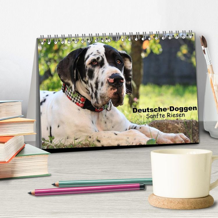 Produktbild: Deutsche Doggen - Sanfte Riesen (Tischkalender 2026 DIN A5 quer), CALVENDO Monatskalender