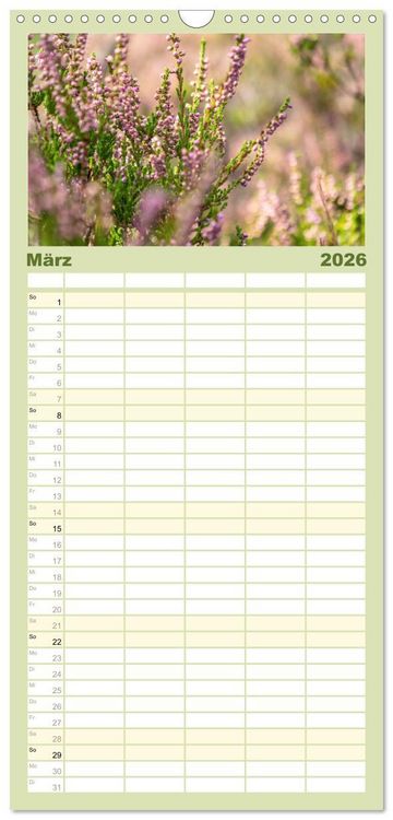 Produktbild: Familienplaner 2026 - Zauberhaftes Heidekraut - Elbsandstein mit 5 Spalten (Wandkalender, 21 x 45 cm) CALVENDO
