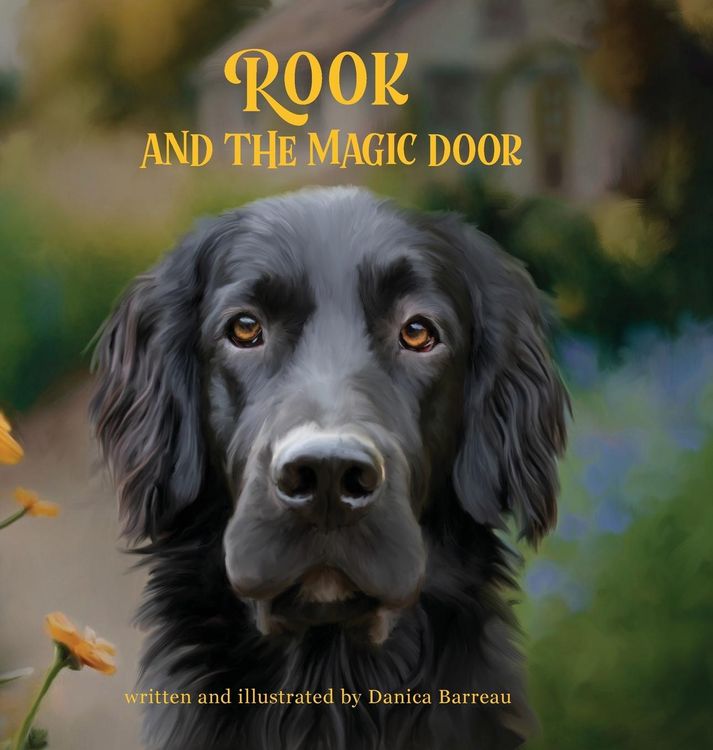 Produktbild: Rook and the Magic Door