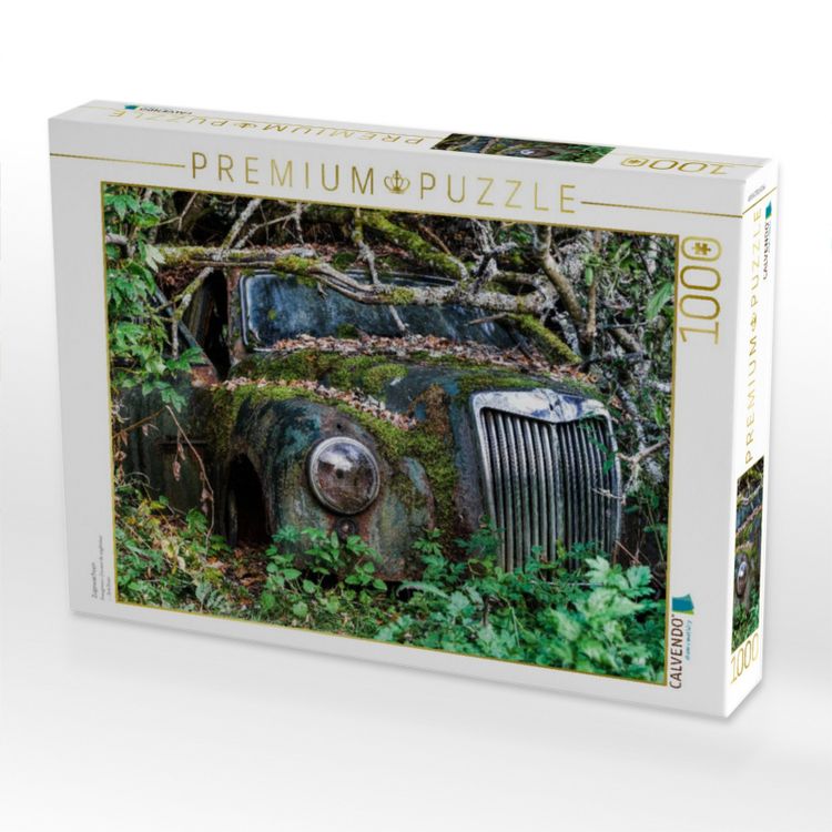 Produktbild: CALVENDO Puzzle Zugewachsen | 1000 Teile Lege-Gr&ouml;&szlig;e 64x48cm Foto-Puzzle f&uuml;r gl&uuml;ckliche Stunden