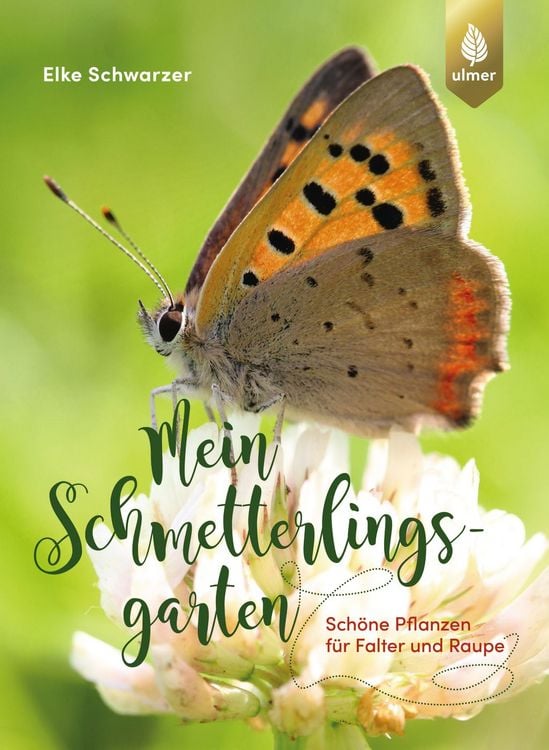 Produktbild: Mein Schmetterlingsgarten