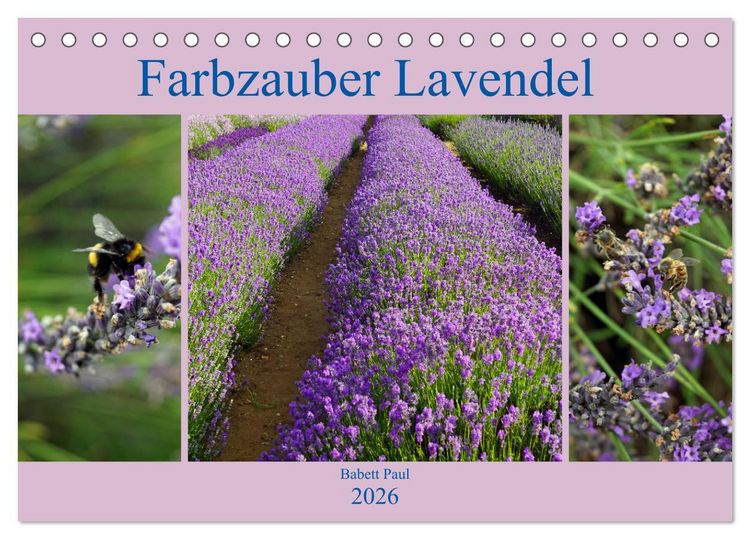 Produktbild: Farbzauber Lavendel (Tischkalender 2026 DIN A5 quer), CALVENDO Monatskalender