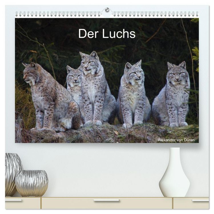 Produktbild: Der Luchs (hochwertiger Premium Wandkalender 2026 DIN A2 quer), Kunstdruck in Hochglanz