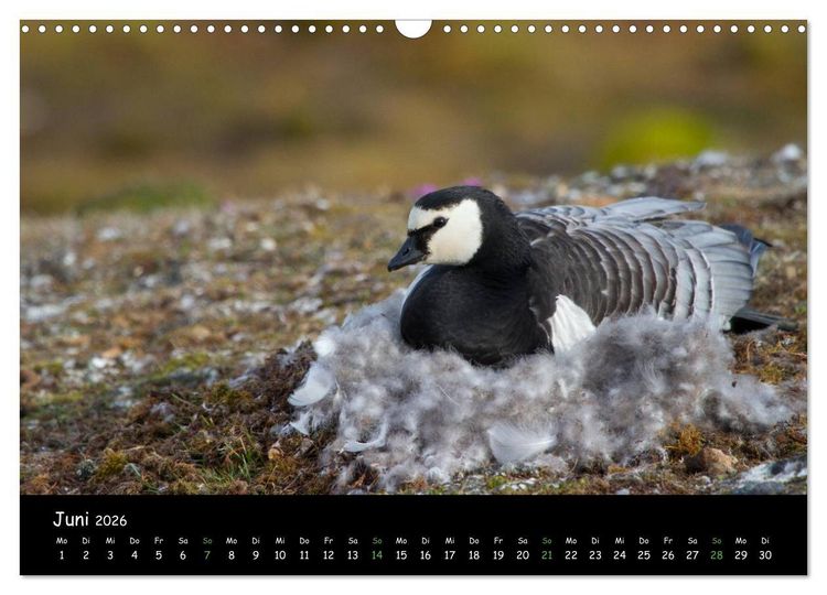 Produktbild: Spitzbergen (Wandkalender 2026 DIN A3 quer), CALVENDO Monatskalender