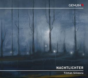 Produktbild: Nachtlichter-Sinfonie 1