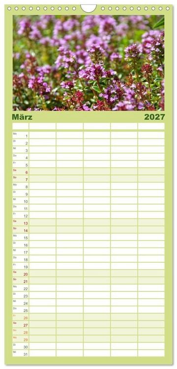 Produktbild: Familienplaner 2027 - Arzneipflanzen mit 5 Spalten (Wandkalender, 21 x 45 cm) CALVENDO