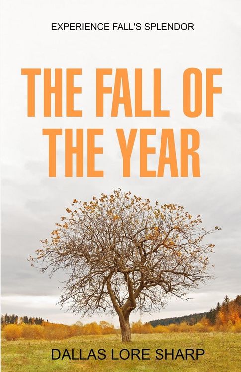 Produktbild: The Fall of the Year