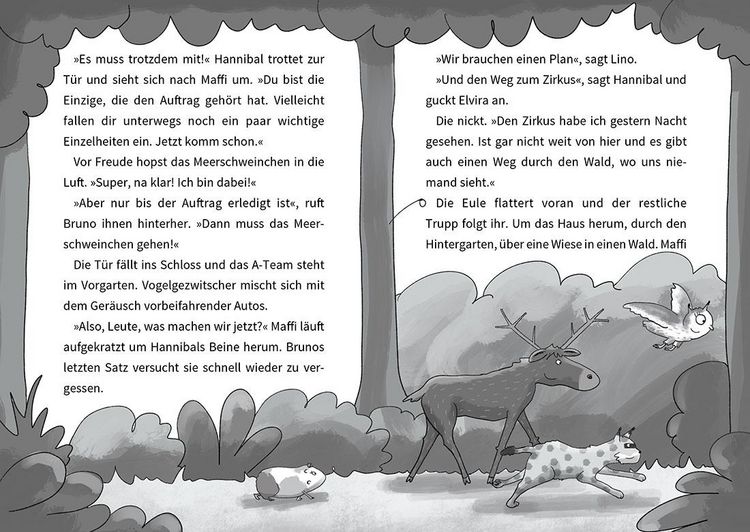 Produktbild: Das Wilde Haus der Tiere &ndash; Das Drama-Lama