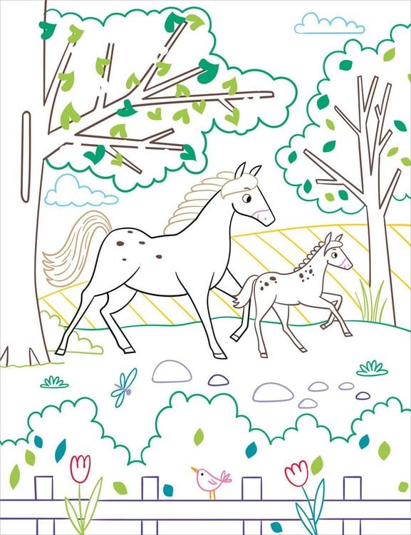 Produktbild: Zauberbilder &ndash; Pferde & Ponys