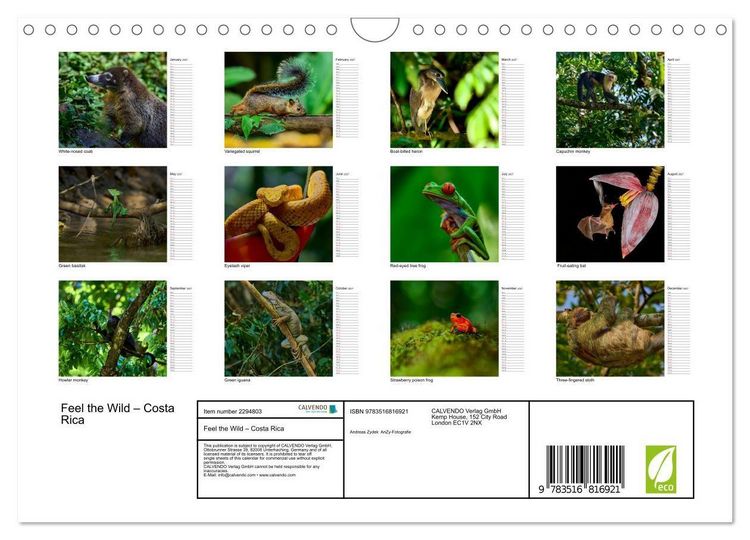 Produktbild: Feel the Wild &ndash; Costa Rica (Wall Calendar 2027 DIN A4 landscape), CALVENDO 12 Month Wall Calendar