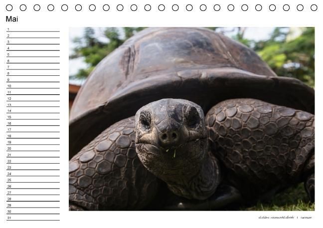 Produktbild: die seychellen - ganz nah am paradies (Tischkalender immerw&auml;hrend DIN A5 quer)