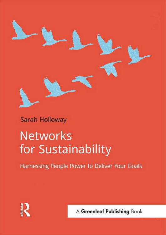 Produktbild: Networks for Sustainability