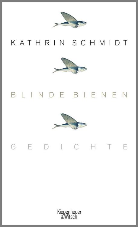 Produktbild: Blinde Bienen