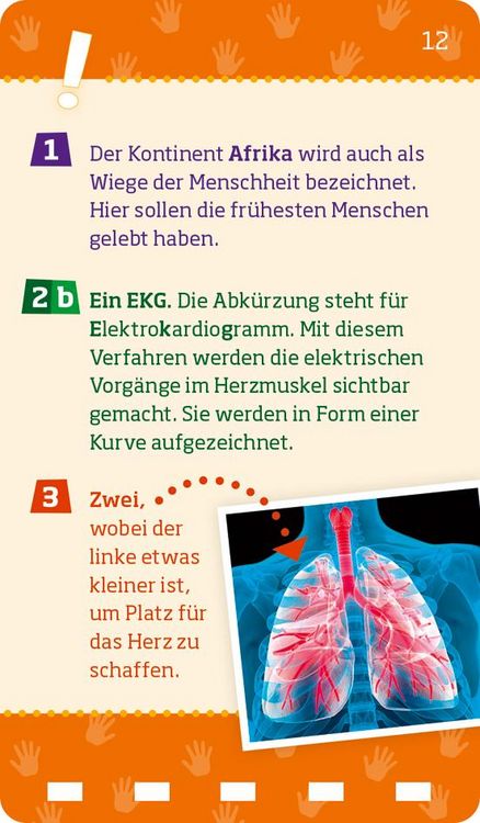 Produktbild: WAS IST WAS Quiz K&ouml;rper
