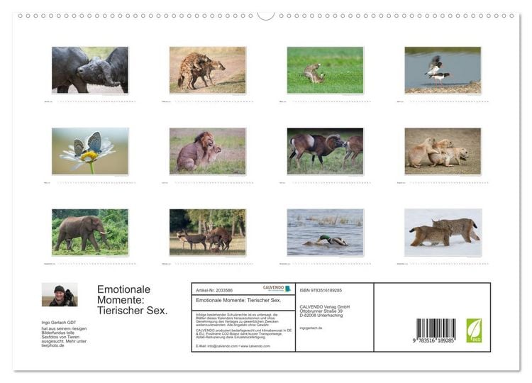 Produktbild: Emotionale Momente: Tierischer Sex. (hochwertiger Premium Wandkalender 2026 DIN A2 quer), Kunstdruck in Hochglanz