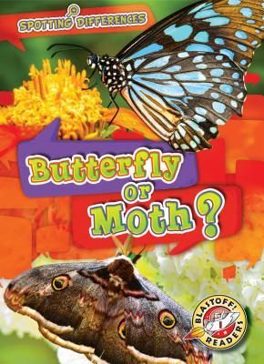 Produktbild: Butterfly or Moth?