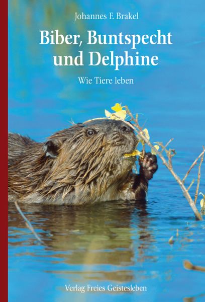 Produktbild: Biber, Buntspecht und Delphine