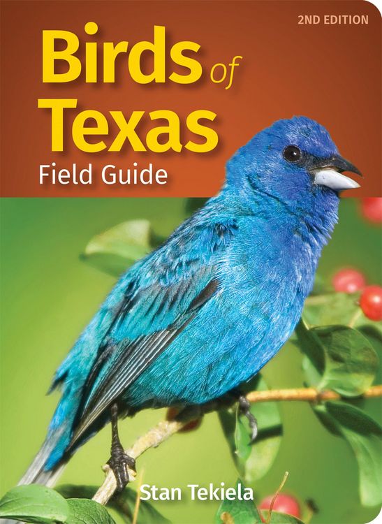 Produktbild: Birds of Texas Field Guide