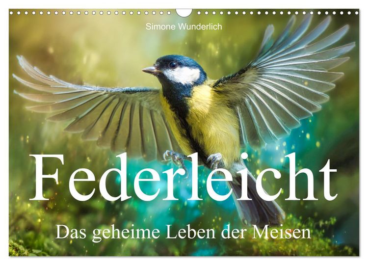 Produktbild: Federleicht - Das geheime Leben der Meisen (Wandkalender 2027 DIN A3 quer), CALVENDO Monatskalender