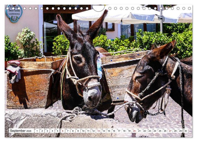 Produktbild: Sizilianische Urspr&uuml;nglichkeit Castelbuono (Wandkalender 2026 DIN A4 quer), CALVENDO Monatskalender