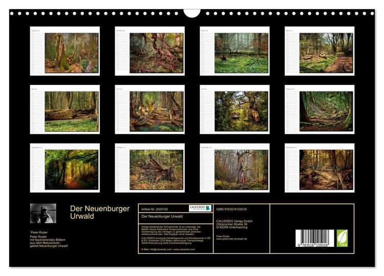 Produktbild: Der Neuenburger Urwald (Wandkalender 2026 DIN A3 quer), CALVENDO Monatskalender