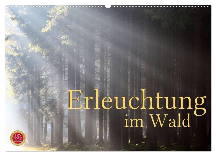 Produktbild: Erleuchtung im Wald (Wandkalender 2026 DIN A2 quer), CALVENDO Monatskalender