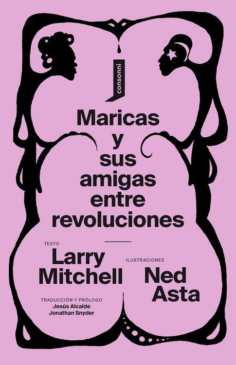 Produktbild: Maricas y sus amigas entre revoluciones