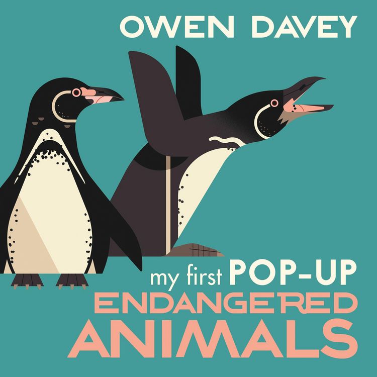 Produktbild: My First Pop-Up Endangered Animals