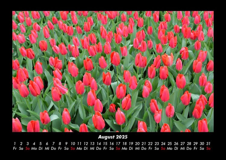 Produktbild: Blumenzauber 2025 Fotokalender DIN A3