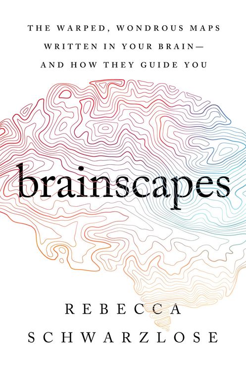Produktbild: Brainscapes