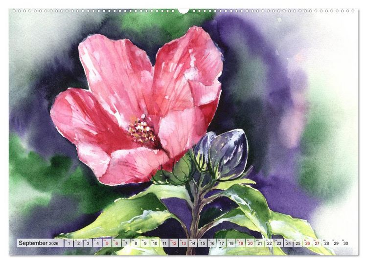 Produktbild: Blumenaquarelle aus der N&auml;he (hochwertiger Premium Wandkalender 2026 DIN A2 quer), Kunstdruck in Hochglanz