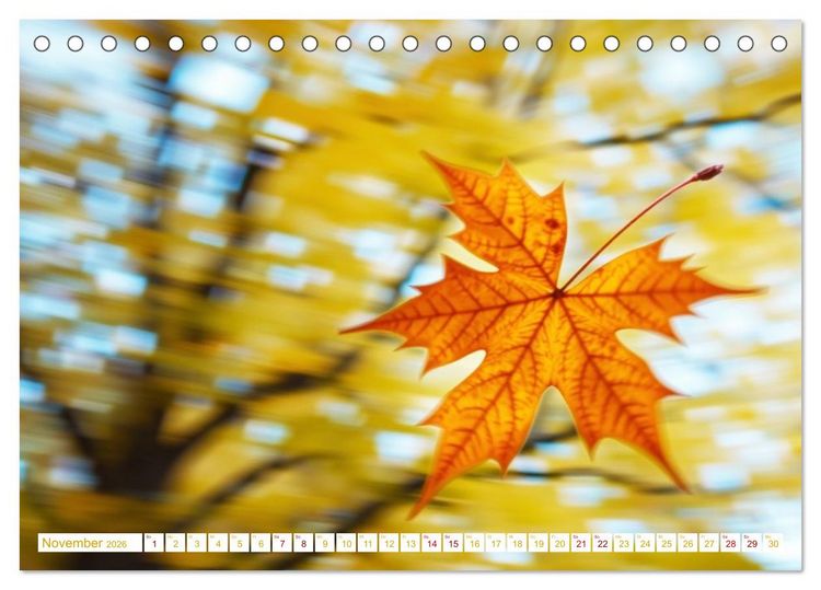 Produktbild: Die Poesie und Kraft des Windes - Windkraft in Bewegung (Tischkalender 2026 DIN A5 quer), CALVENDO Monatskalender