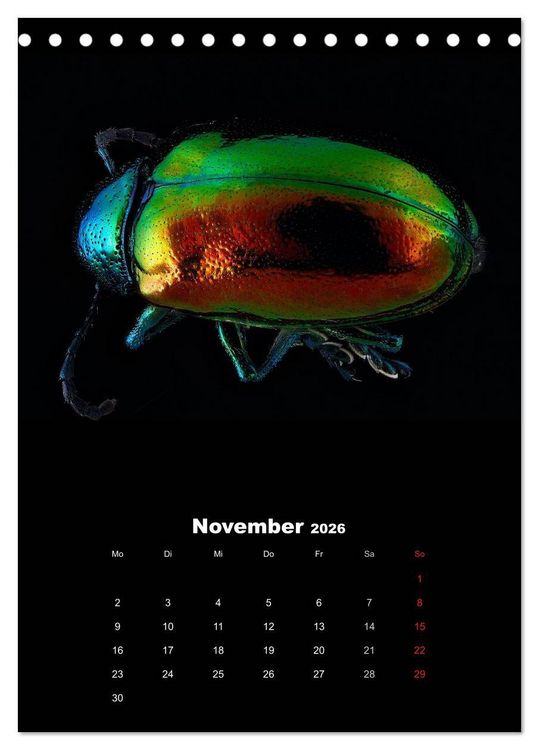 Produktbild: Schillernde Insektenwelt (Tischkalender 2026 DIN A5 hoch), CALVENDO Monatskalender