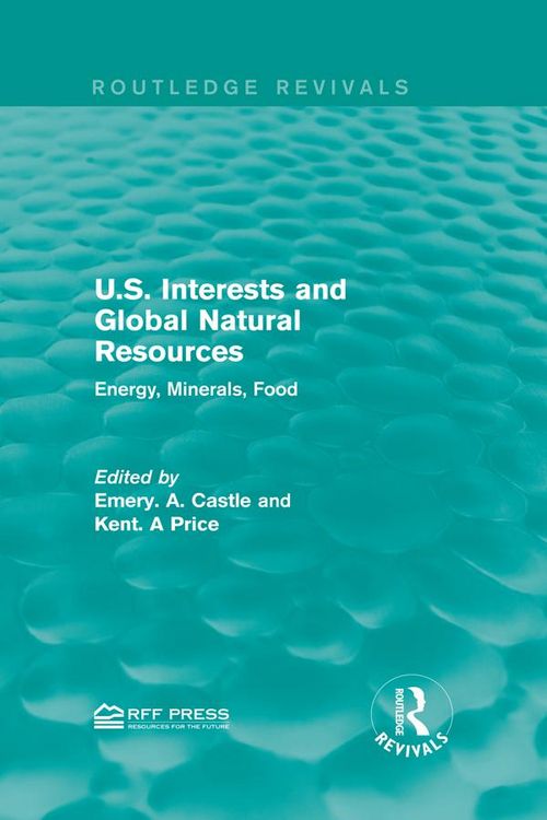 Produktbild: U.S. Interests and Global Natural Resources