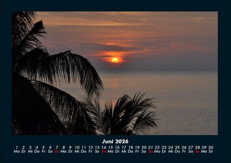 Produktbild: Palmentraum 2026 Fotokalender DIN A4