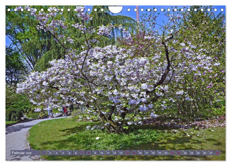 Produktbild: Japanischer Garten Leverkusen (Wandkalender 2026 DIN A4 quer), CALVENDO Monatskalender