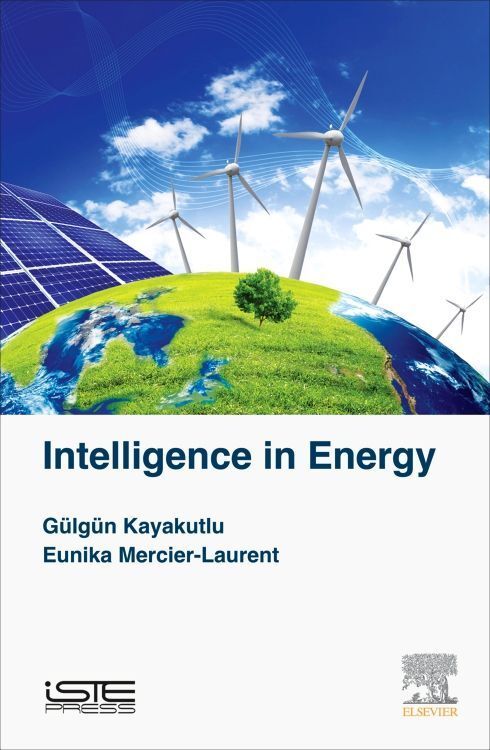 Produktbild: Kayakutlu, G: Intelligence in Energy