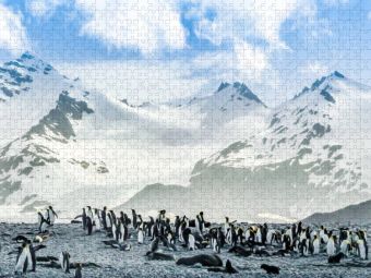 Produktbild: CALVENDO Puzzle Pinguin Kolonie im Naturparadies Antarktis | 2000 Teile Lege-Gr&ouml;&szlig;e 90x67cm Foto-Puzzle f&uuml;r gl&uuml;ckliche Stunden