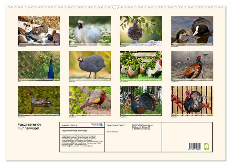 Produktbild: Faszinierende H&uuml;hnerv&ouml;gel (Wandkalender 2026 DIN A2 quer), CALVENDO Monatskalender