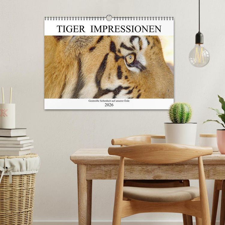 Produktbild: TIGER IMPRESSIONEN Gestreifte Seltenheit auf unserer Erde (Wandkalender 2026 DIN A3 quer), CALVENDO Monatskalender