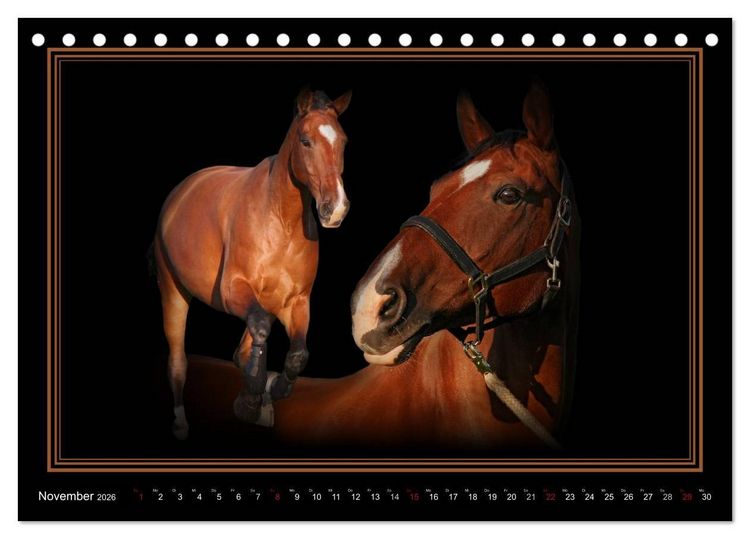 Produktbild: Traumpferde-ART-Collection (Tischkalender 2026 DIN A5 quer), CALVENDO Monatskalender