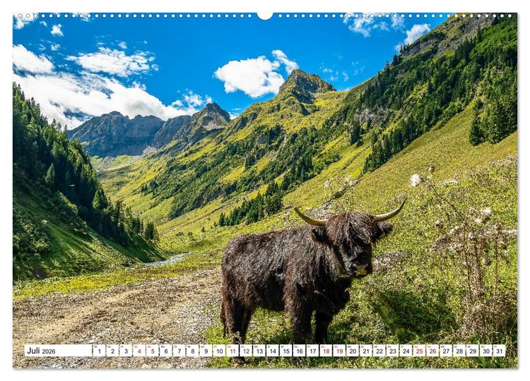 Produktbild: Kuhle Typen (Wandkalender 2026 DIN A2 quer), CALVENDO Monatskalender