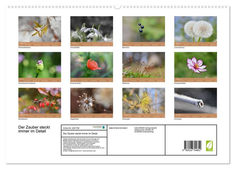 Produktbild: Der Zauber steckt immer im Detail (hochwertiger Premium Wandkalender 2026 DIN A2 quer), Kunstdruck in Hochglanz