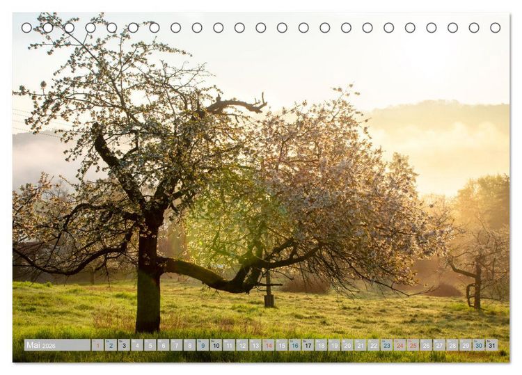 Produktbild: Streifz&uuml;ge durch die Hebelei (Tischkalender 2026 DIN A5 quer), CALVENDO Monatskalender