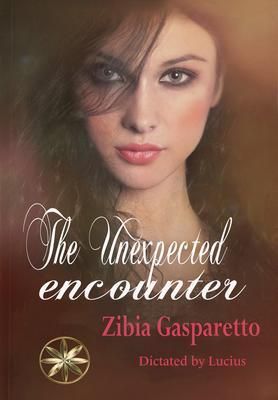 Produktbild: The unexpected encounter