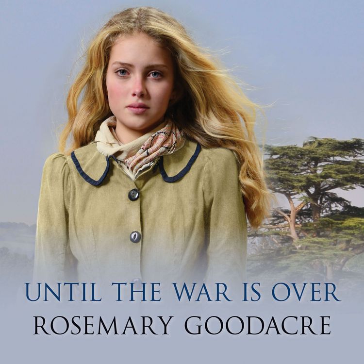 Produktbild: Until the War is Over