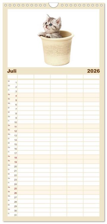 Produktbild: Familienplaner 2026 - Katzenbabys mit 5 Spalten (Wandkalender, 21 x 45 cm) CALVENDO