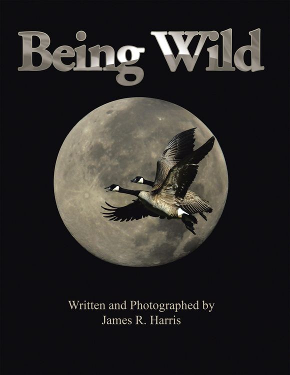 Produktbild: Being Wild