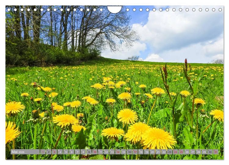 Produktbild: Wandern im Erzgebirge (Wandkalender 2026 DIN A4 quer), CALVENDO Monatskalender